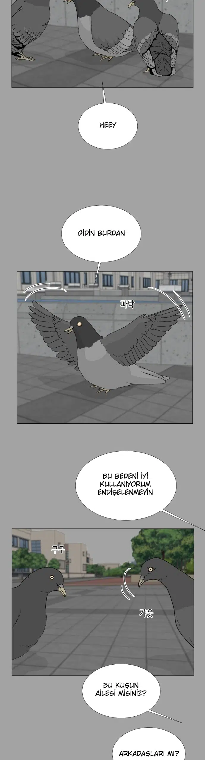Yarı Hayalet - Bölüm 51 Sayfa 20