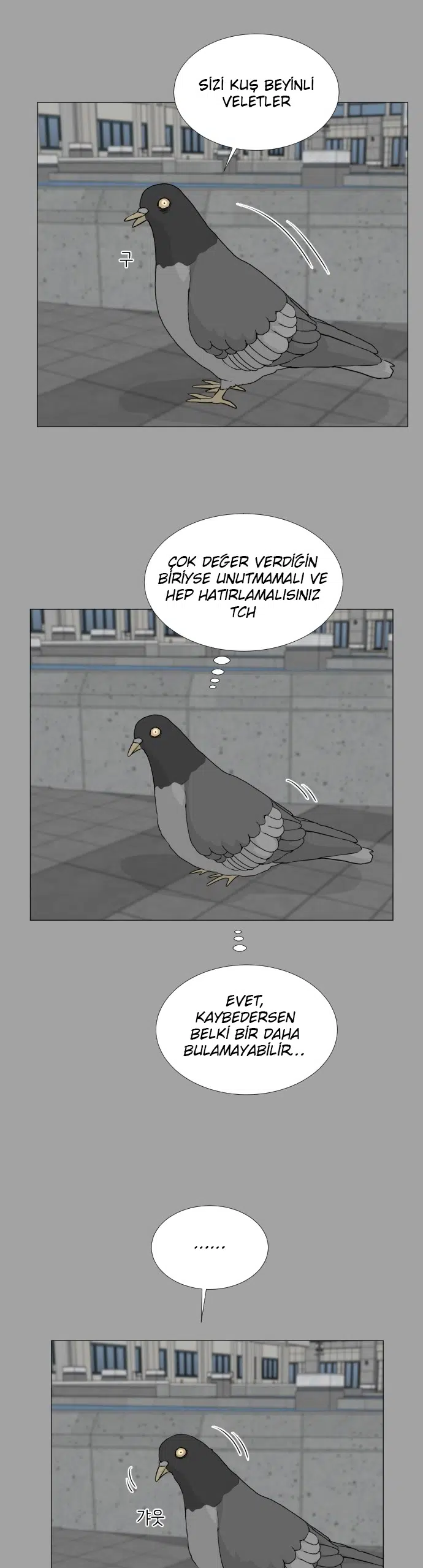 Yarı Hayalet - Bölüm 51 Sayfa 22