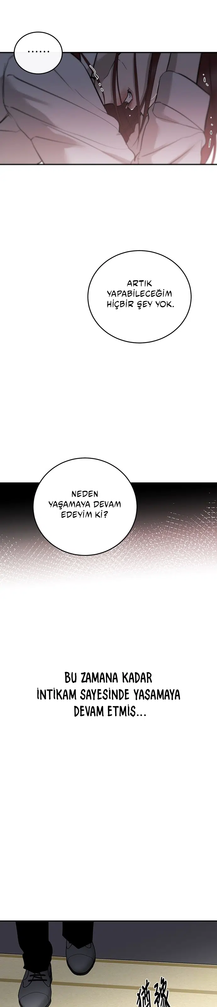 Ölümsüzün Kaotik Hayatı - Bölüm 109 Sayfa 13