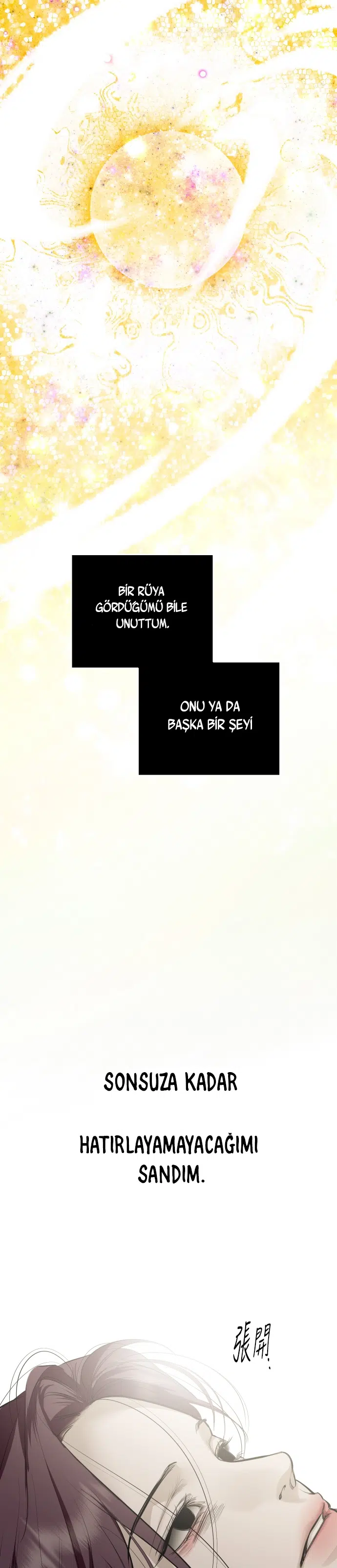 Ölümsüzün Kaotik Hayatı - Bölüm 113 Sayfa 10