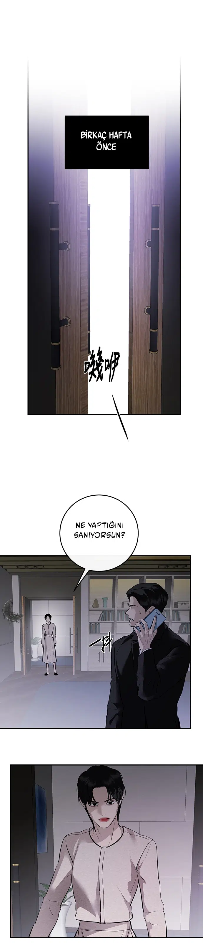Ölümsüzün Kaotik Hayatı - Bölüm 114 Sayfa 2
