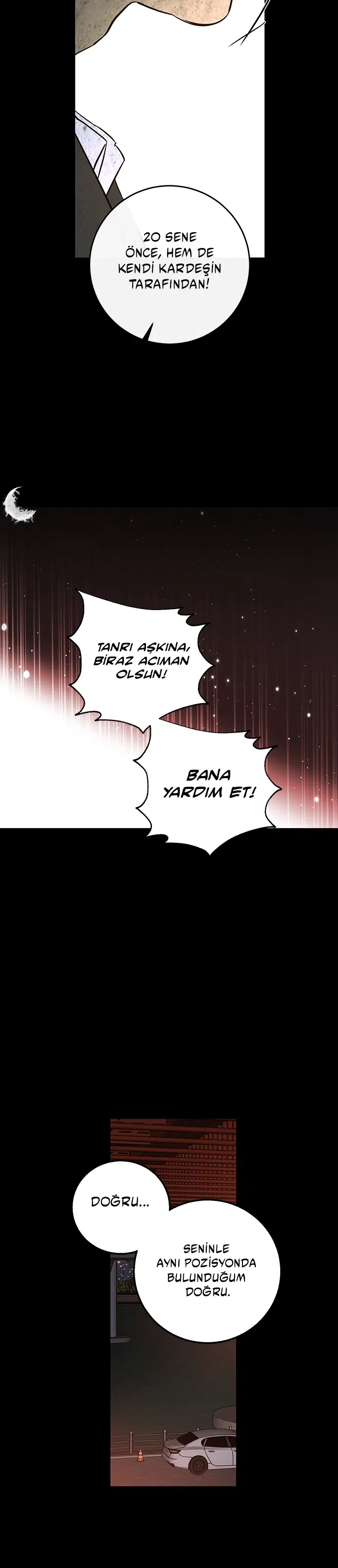 Ölümsüzün Kaotik Hayatı - Bölüm 114 Sayfa 25