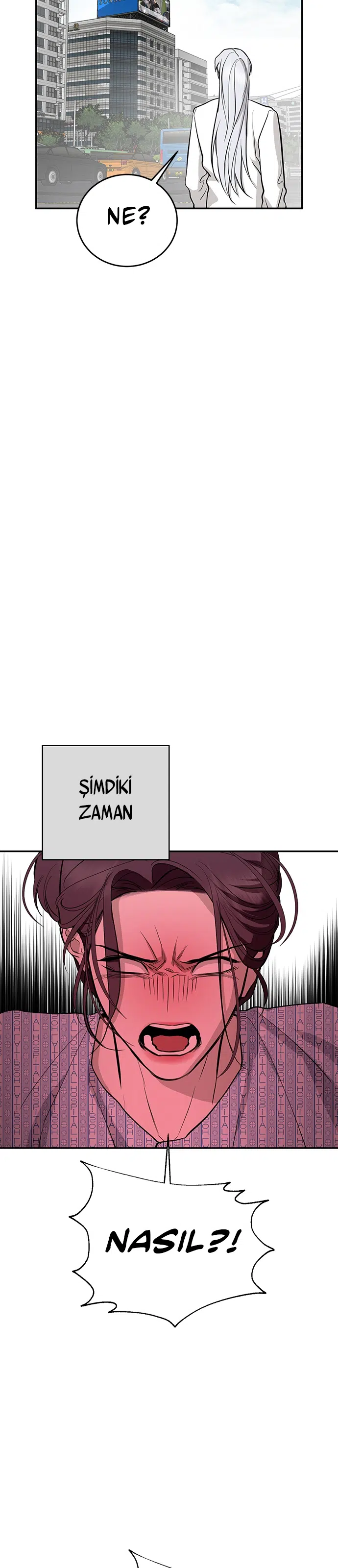 Ölümsüzün Kaotik Hayatı - Bölüm 126 Sayfa 11