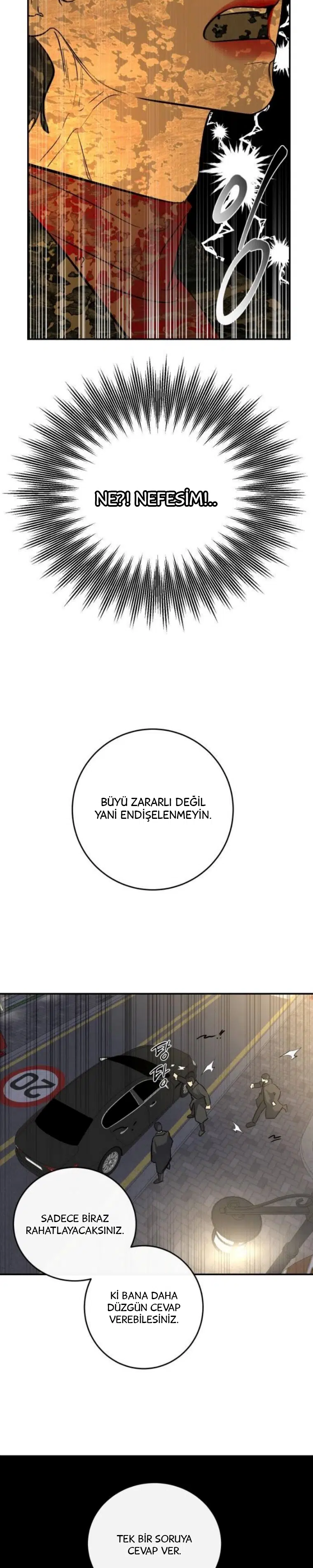 Ölümsüzün Kaotik Hayatı - Bölüm 18 Sayfa 12