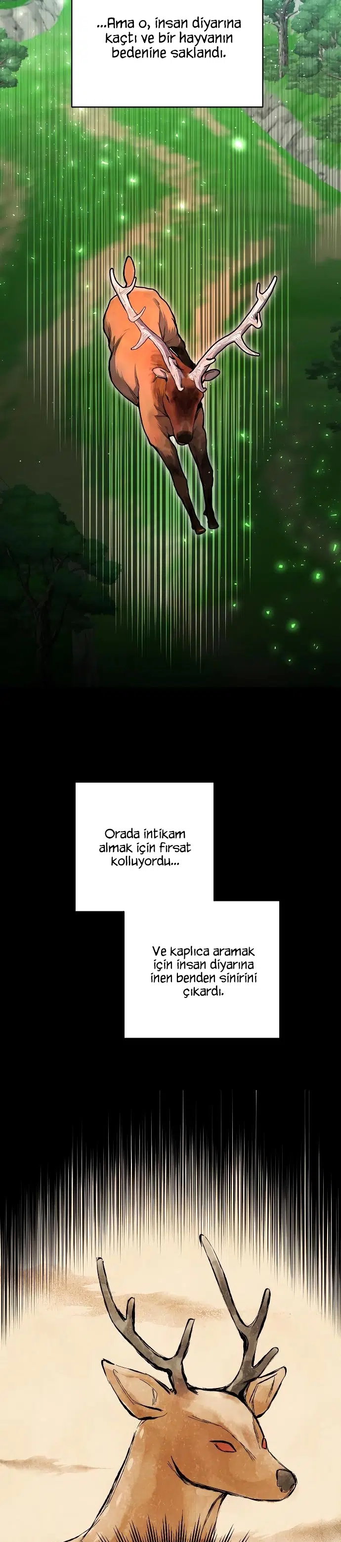 Ölümsüzün Kaotik Hayatı - Bölüm 41 Sayfa 31
