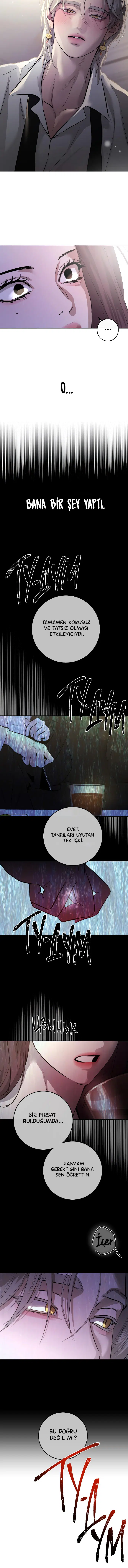 Ölümsüzün Kaotik Hayatı - Bölüm 67 Sayfa 12