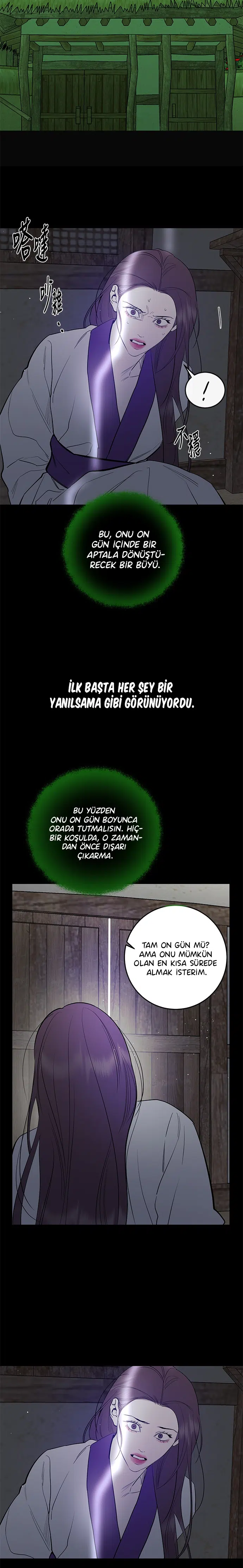 Ölümsüzün Kaotik Hayatı - Bölüm 78 Sayfa 7