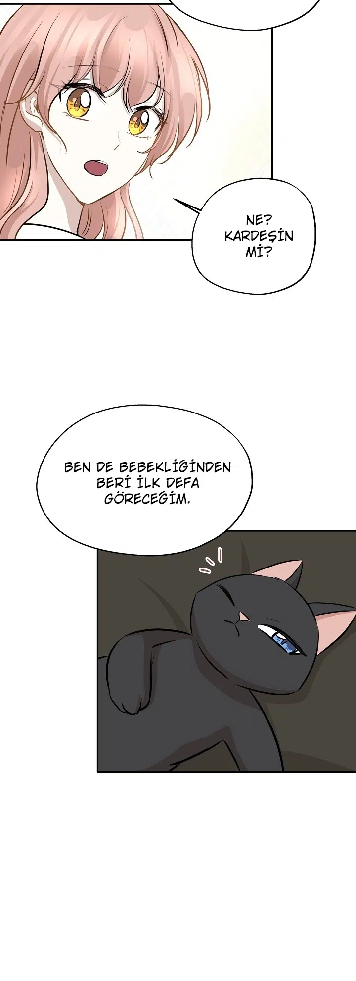 Garip Günler - Bölüm 66 Sayfa 46