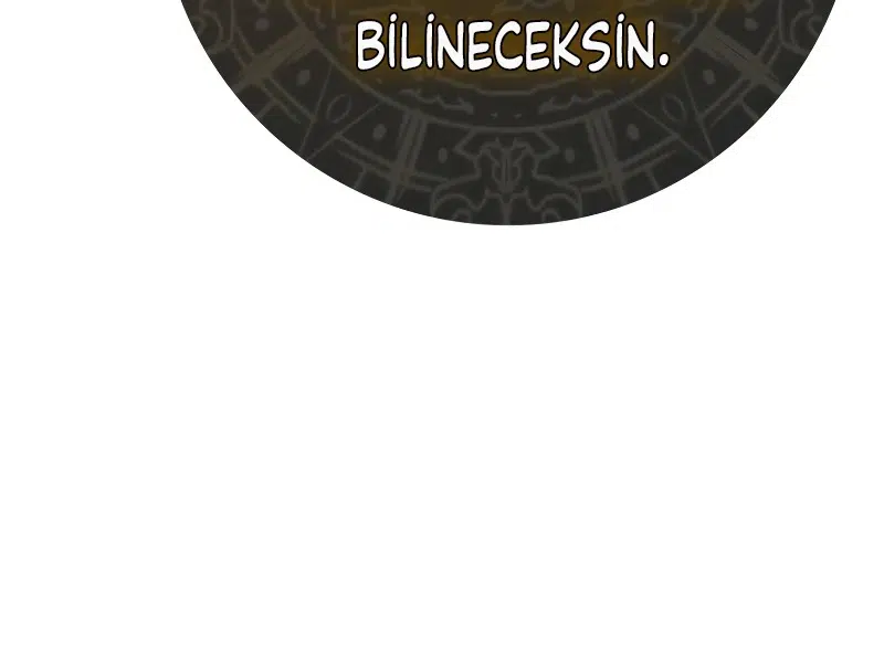 Yeniden Doğan Suikastçi Bir Kılıç Dehası - Bölüm 60 Sayfa 73