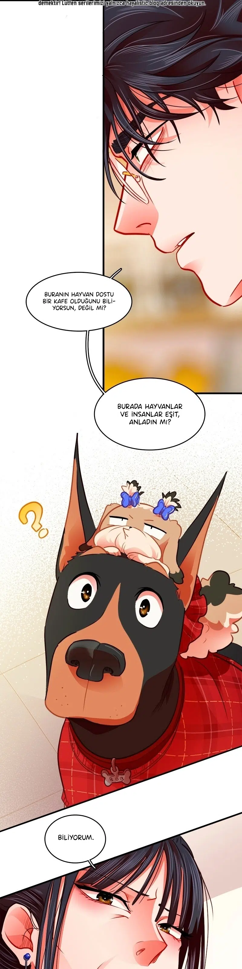 Aşka Çıkan Yol - Bölüm 114 Sayfa 15