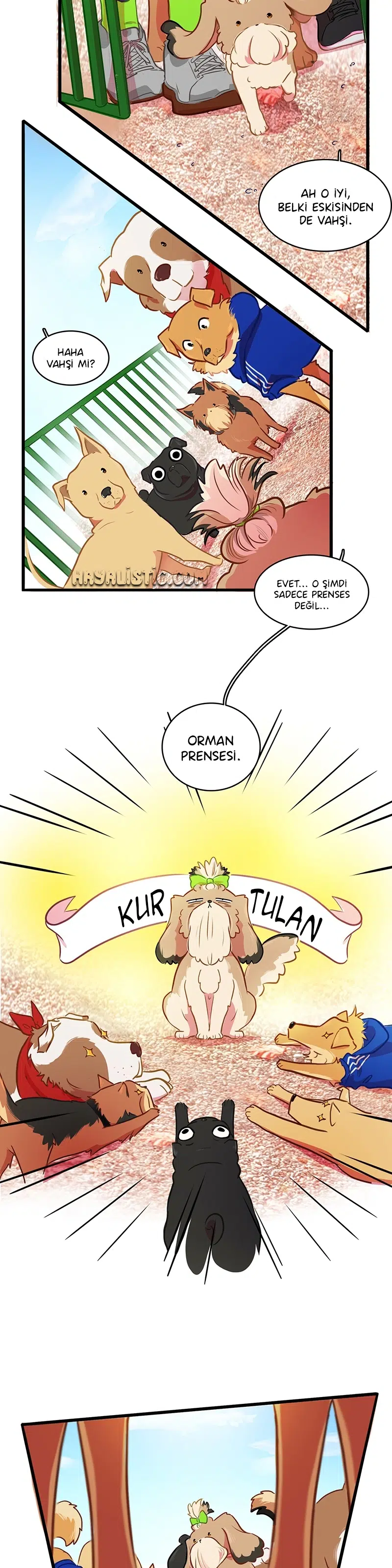 Aşka Çıkan Yol - Bölüm 16 Sayfa 13