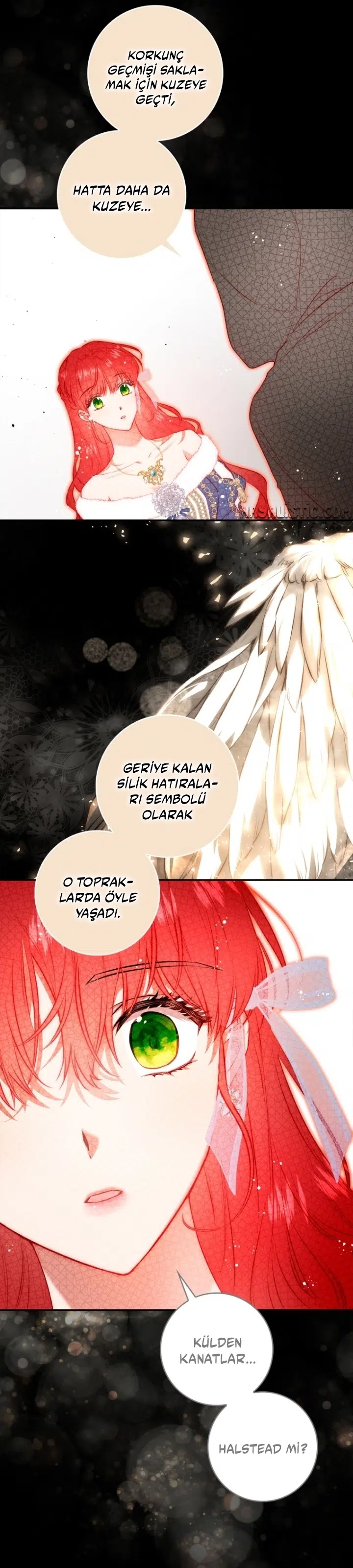 Kocam Güzelliğini Saklıyor - Bölüm 102 Sayfa 25