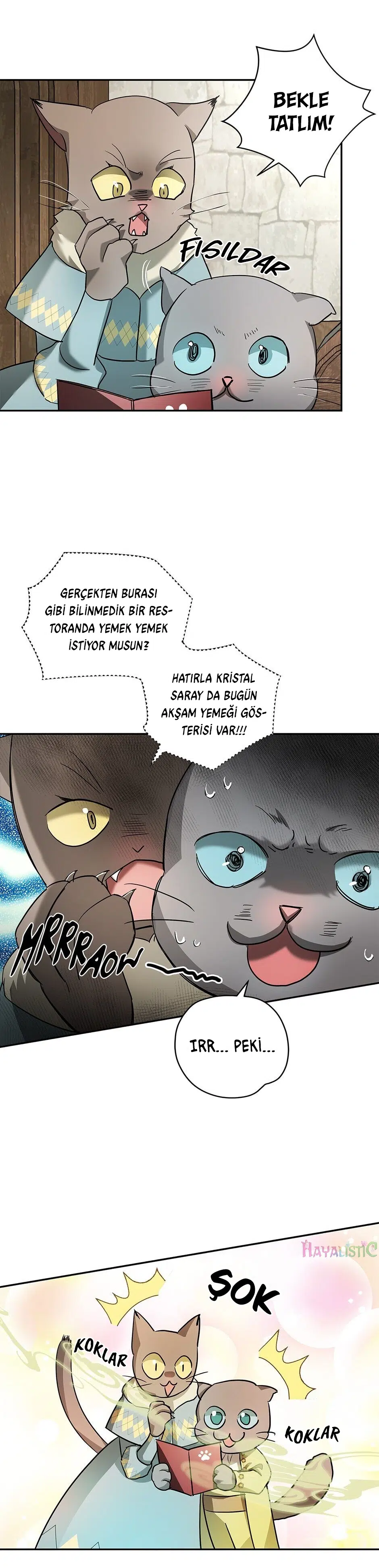 Kocam Güzelliğini Saklıyor - Bölüm 35 Sayfa 25