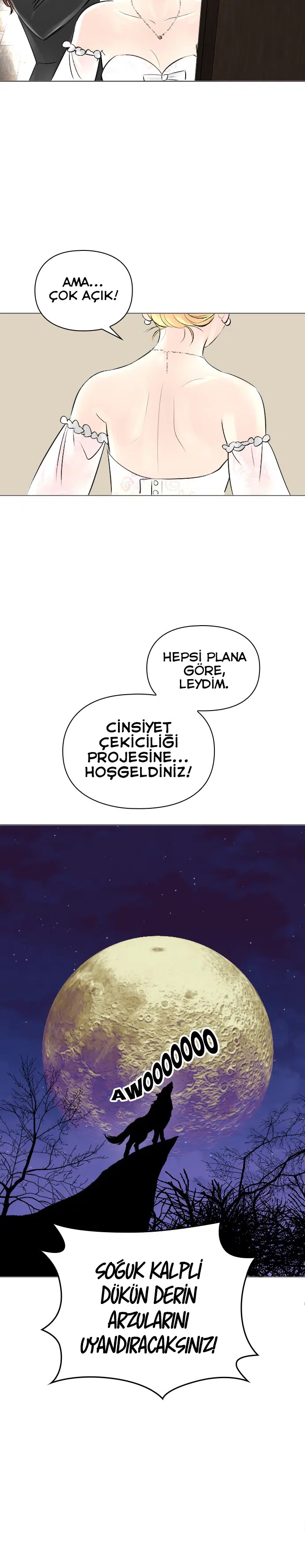 Sonsuza Dek Mutlu - Bölüm 15 Sayfa 7