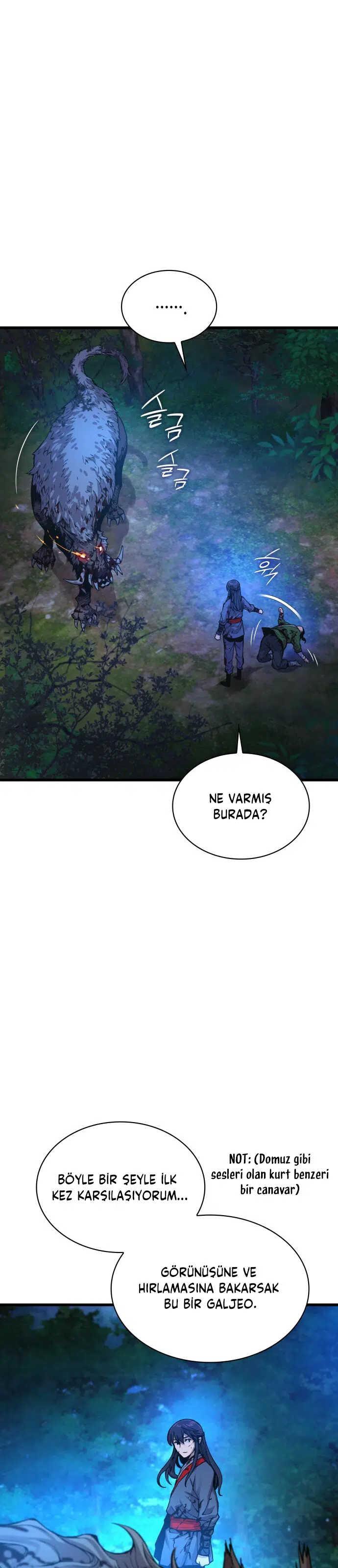 Sislerin Ardındaki Kaos - Bölüm 46 Sayfa 12