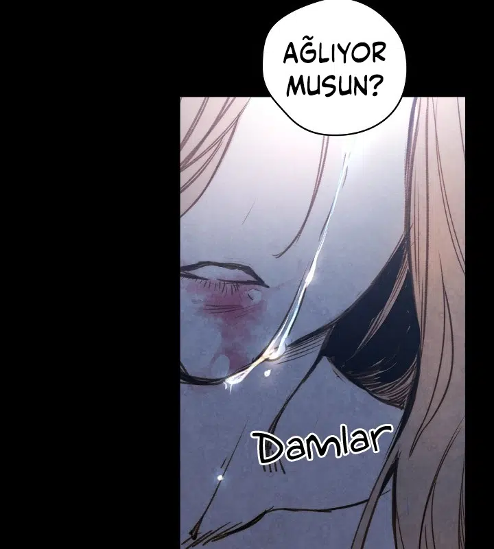 Gölge Kraliçesi - Bölüm 1 Sayfa 33