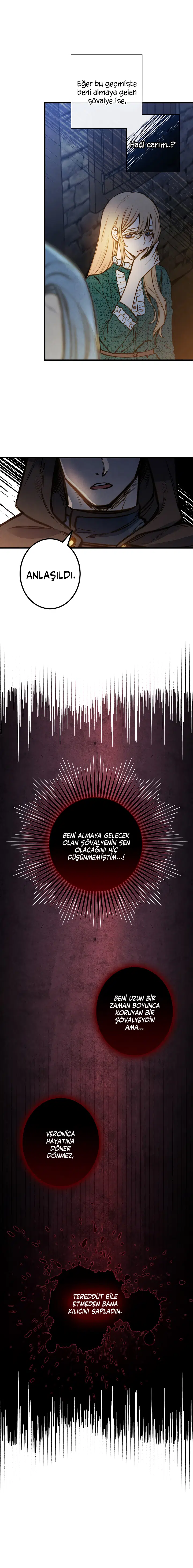 Gölge Kraliçesi - Bölüm 8 Sayfa 5