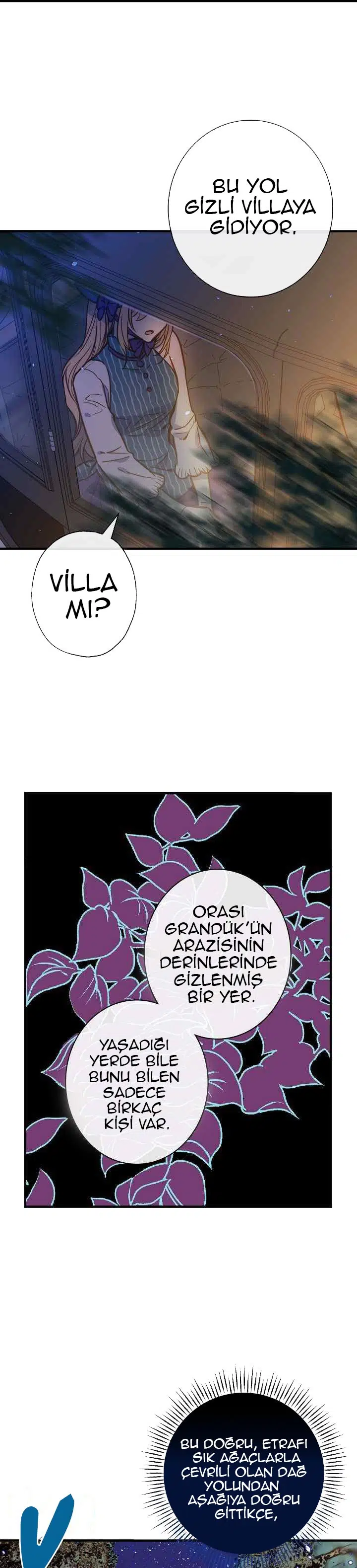 Gölge Kraliçesi - Bölüm 11 Sayfa 10