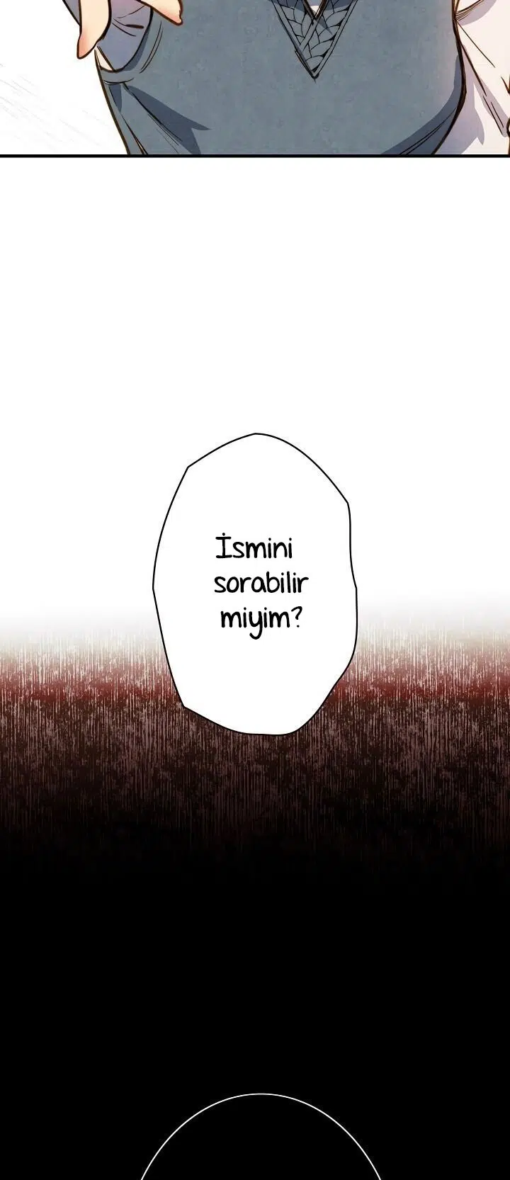 Gölge Kraliçesi - Bölüm 17 Sayfa 11