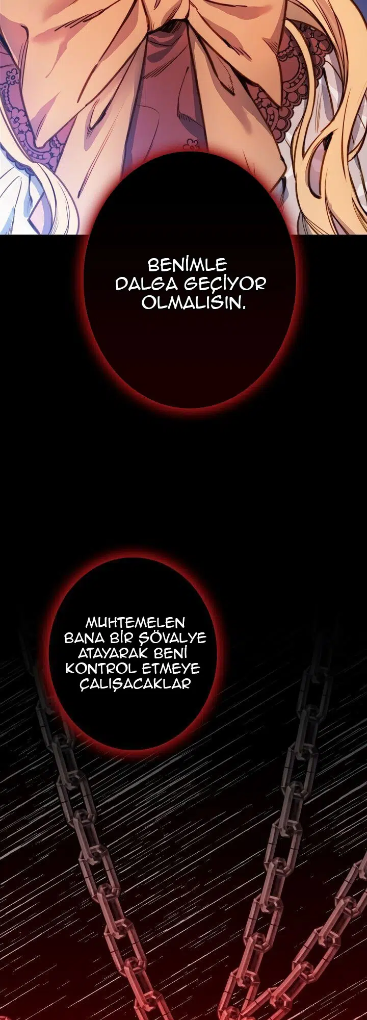 Gölge Kraliçesi - Bölüm 17 Sayfa 20