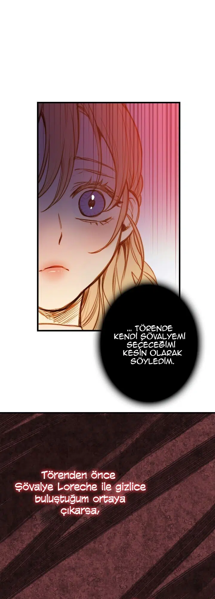 Gölge Kraliçesi - Bölüm 19 Sayfa 29