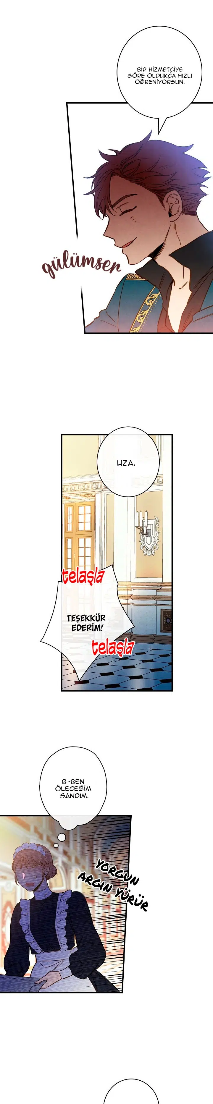 Gölge Kraliçesi - Bölüm 23 Sayfa 12