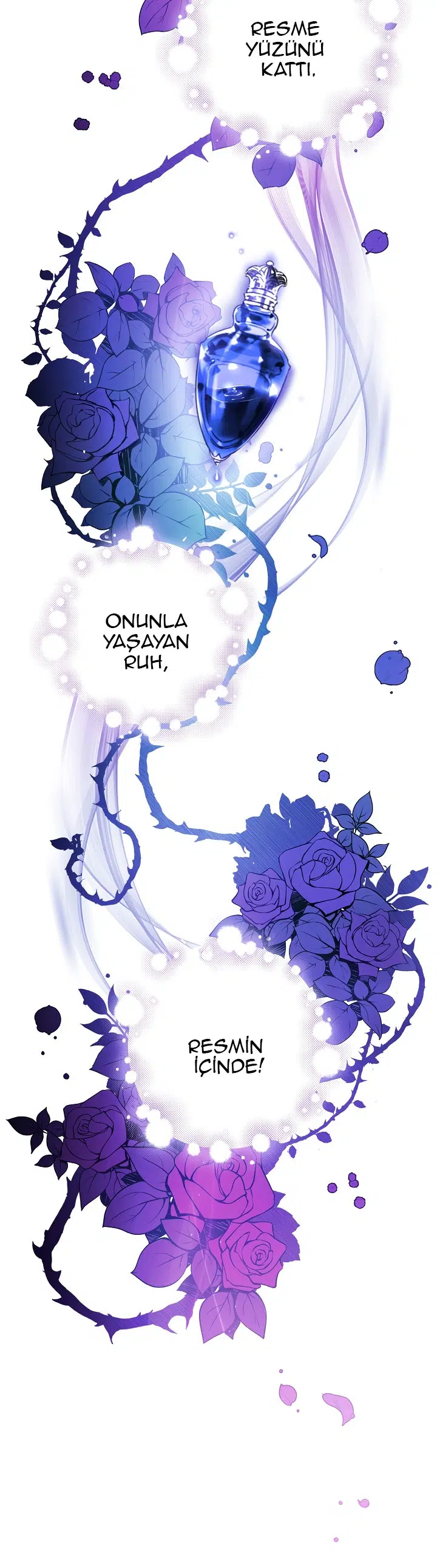 Gölge Kraliçesi - Bölüm 43 Sayfa 33