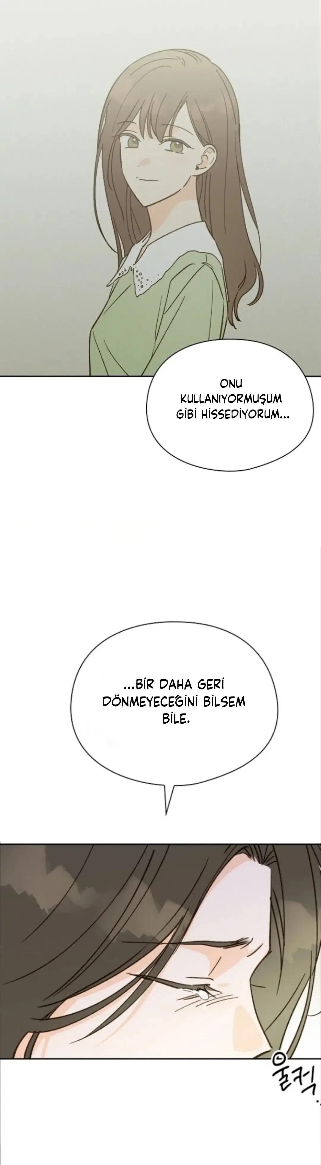 Sana, İlk Aşkım - Bölüm 45 Sayfa 17