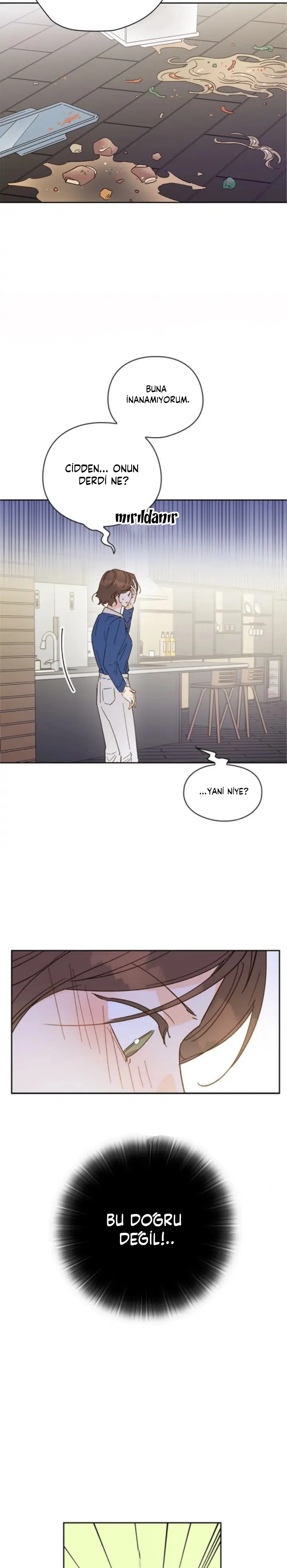 Sana, İlk Aşkım - Bölüm 47 Sayfa 3