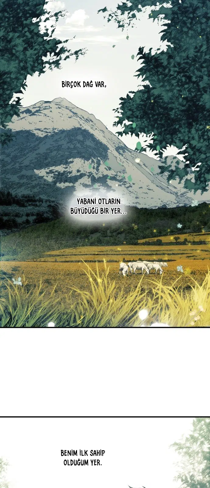 Gözlerindeki Kıvılcım - Bölüm 102 Sayfa 46