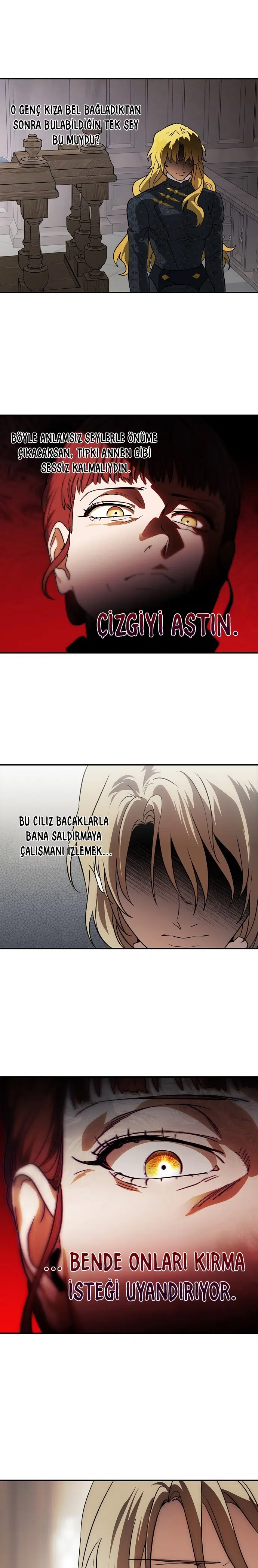 Gözlerindeki Kıvılcım - Bölüm 206 Sayfa 17