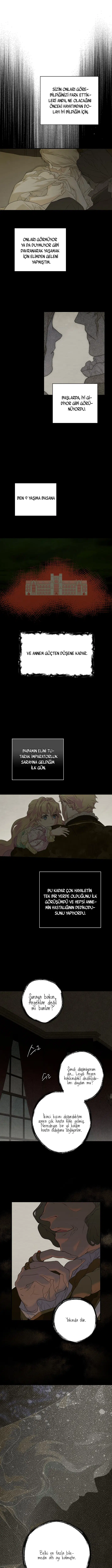 Kimliğini Gizleyen Leydi - Bölüm 2 Sayfa 4