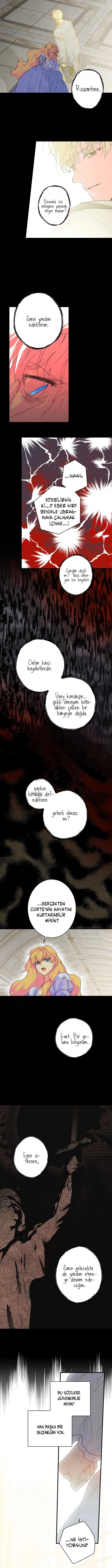 Kimliğini Gizleyen Leydi - Bölüm 2 Sayfa 11