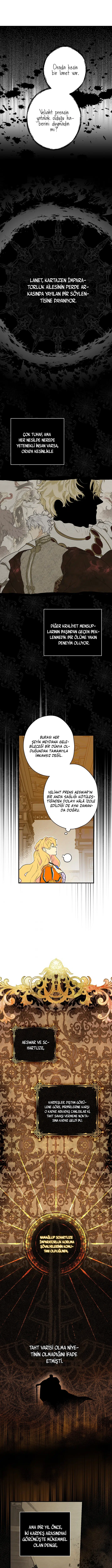 Kimliğini Gizleyen Leydi - Bölüm 3 Sayfa 11