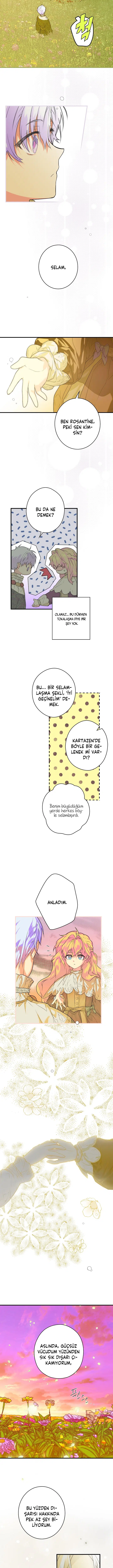 Kimliğini Gizleyen Leydi - Bölüm 4 Sayfa 8