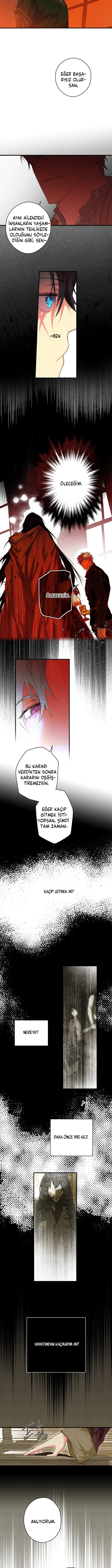 Kimliğini Gizleyen Leydi - Bölüm 8 Sayfa 2