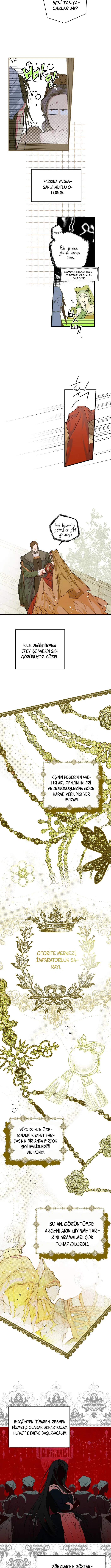 Kimliğini Gizleyen Leydi - Bölüm 9 Sayfa 3