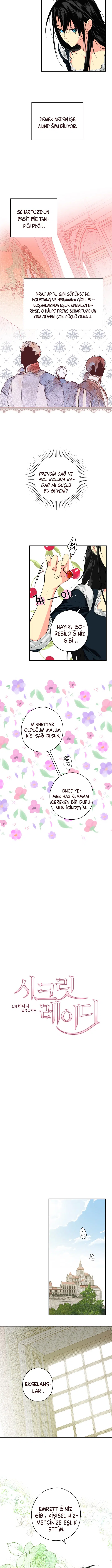 Kimliğini Gizleyen Leydi - Bölüm 10 Sayfa 2