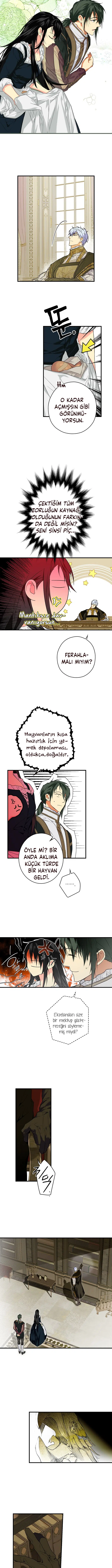 Kimliğini Gizleyen Leydi - Bölüm 10 Sayfa 3