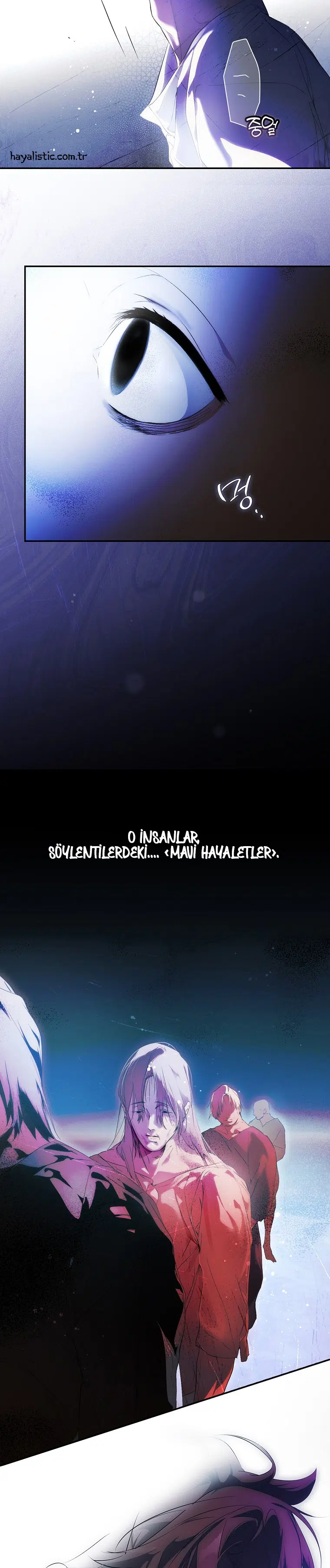 Kimliğini Gizleyen Leydi - Bölüm 111 Sayfa 24