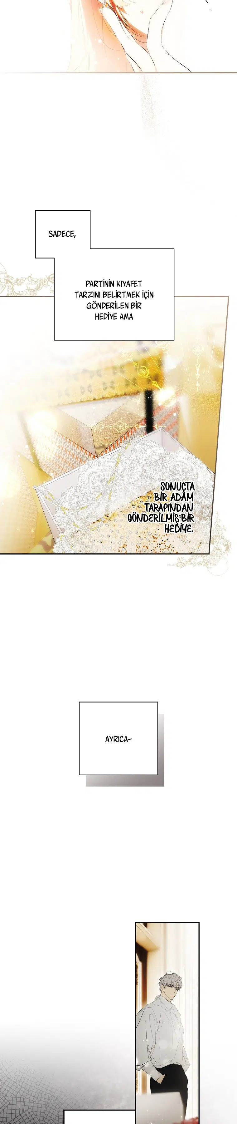 Kimliğini Gizleyen Leydi - Bölüm 113 Sayfa 14