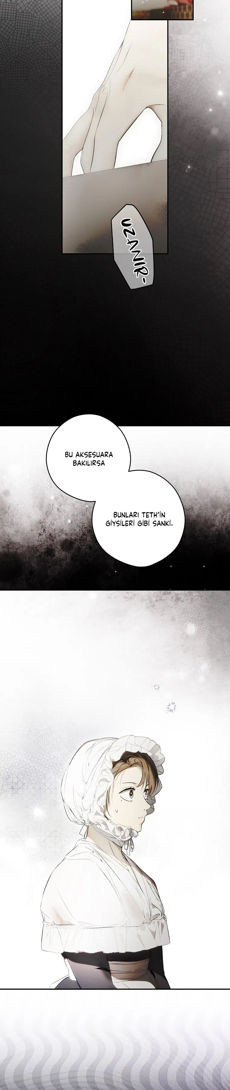 Kimliğini Gizleyen Leydi - Bölüm 113 Sayfa 15