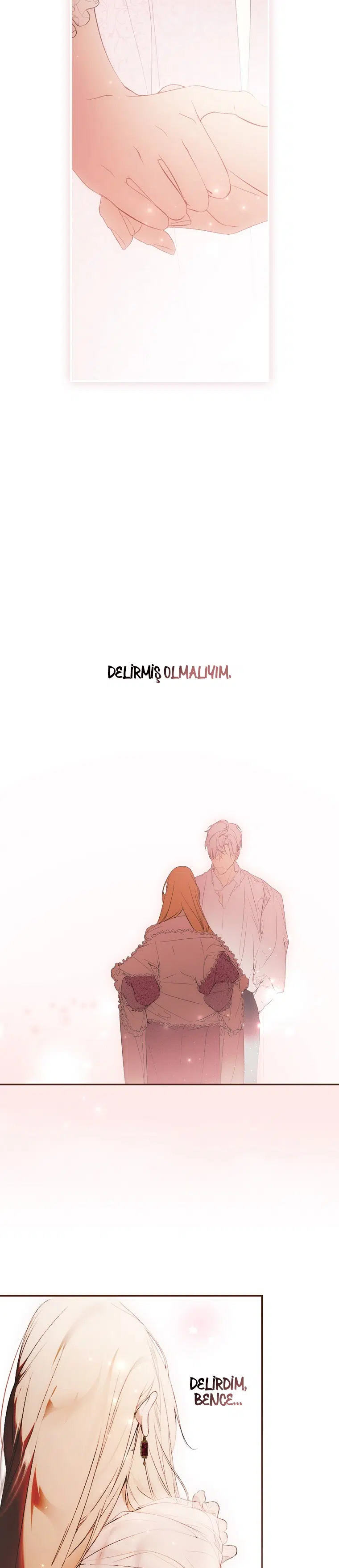 Kimliğini Gizleyen Leydi - Bölüm 113 Sayfa 28