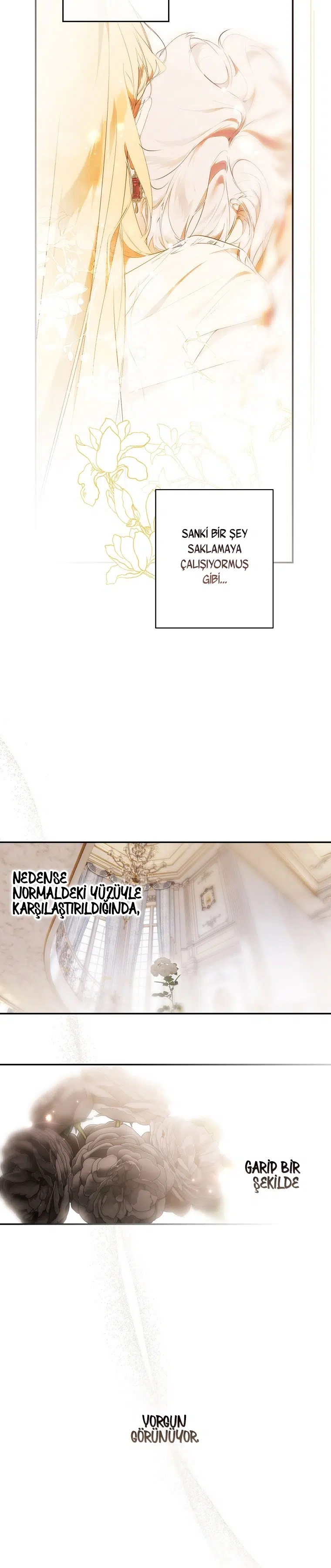 Kimliğini Gizleyen Leydi - Bölüm 114 Sayfa 11