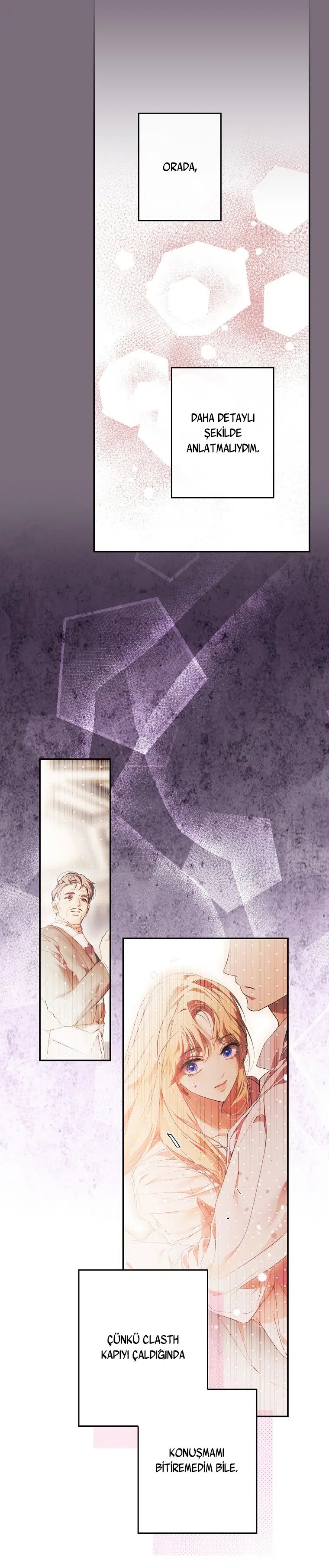 Kimliğini Gizleyen Leydi - Bölüm 114 Sayfa 18