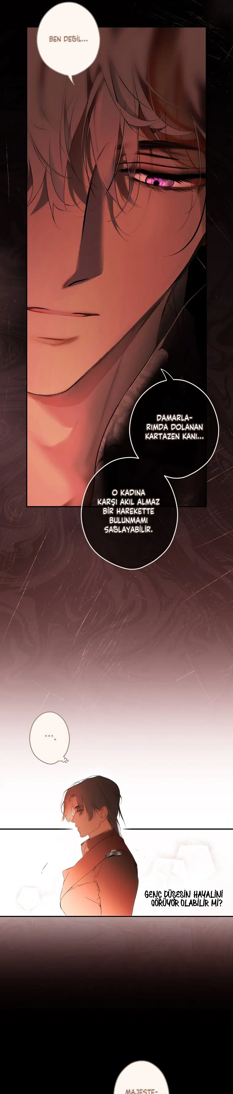 Kimliğini Gizleyen Leydi - Bölüm 116 Sayfa 16