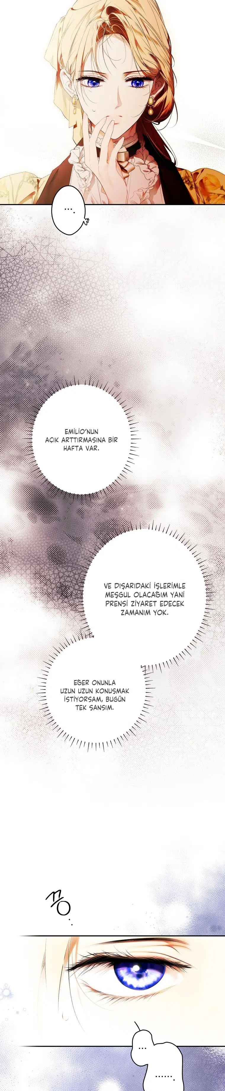 Kimliğini Gizleyen Leydi - Bölüm 116 Sayfa 30