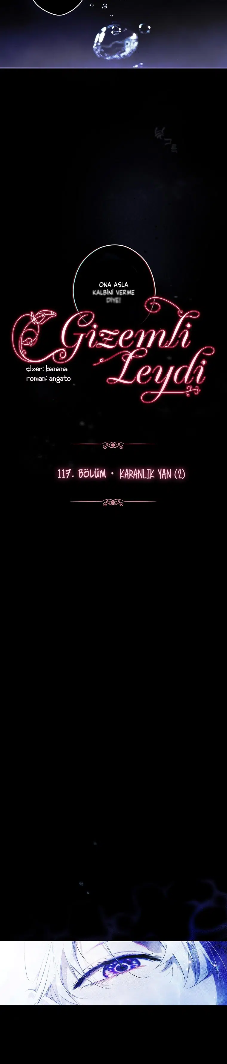 Kimliğini Gizleyen Leydi - Bölüm 117 Sayfa 9