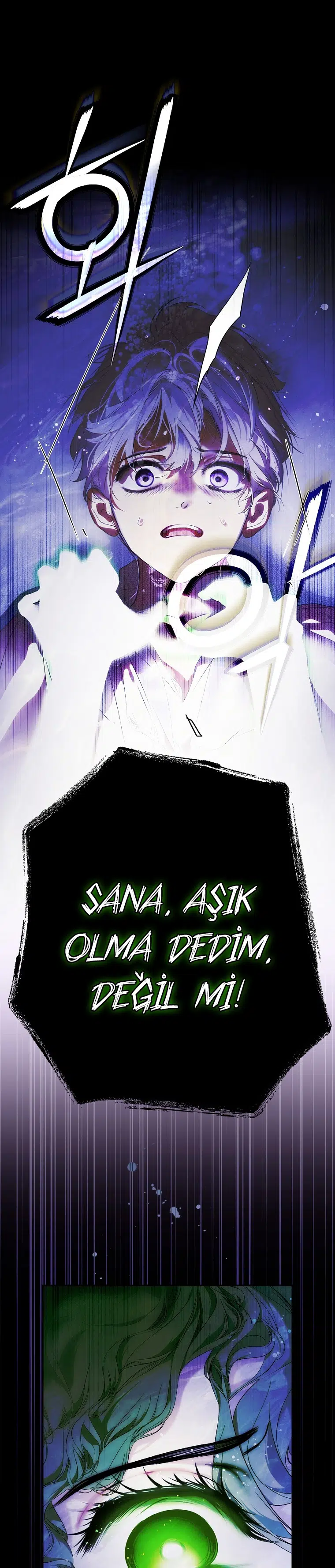Kimliğini Gizleyen Leydi - Bölüm 117 Sayfa 10
