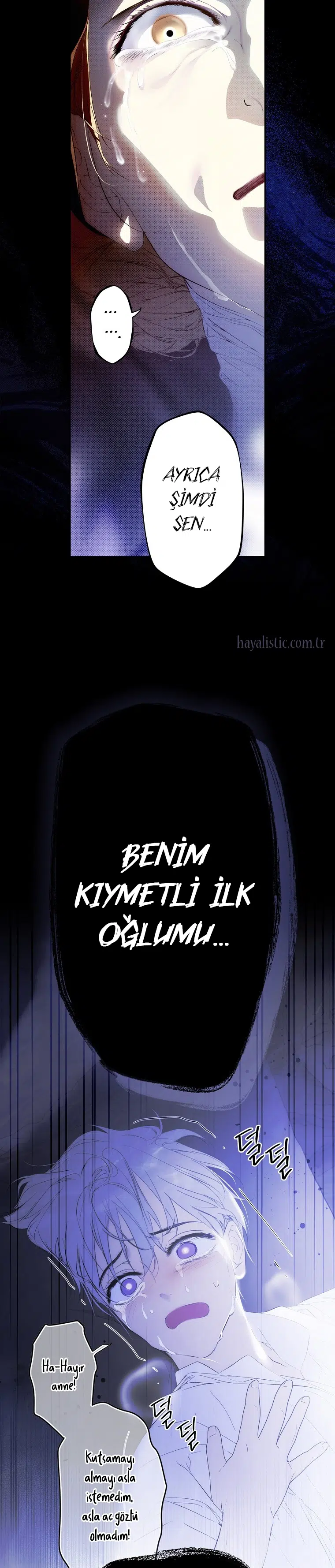Kimliğini Gizleyen Leydi - Bölüm 117 Sayfa 15